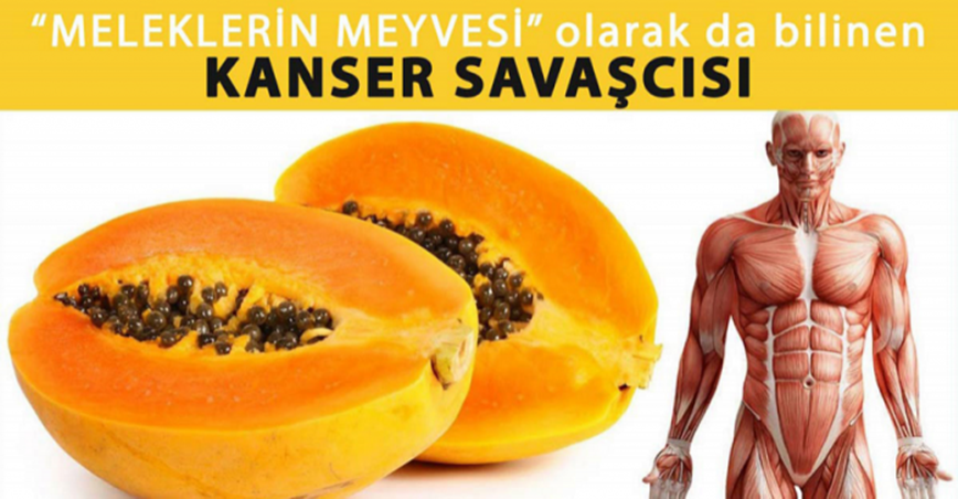 Meleklerin Meyvesi Ka-nser Savaşçısı