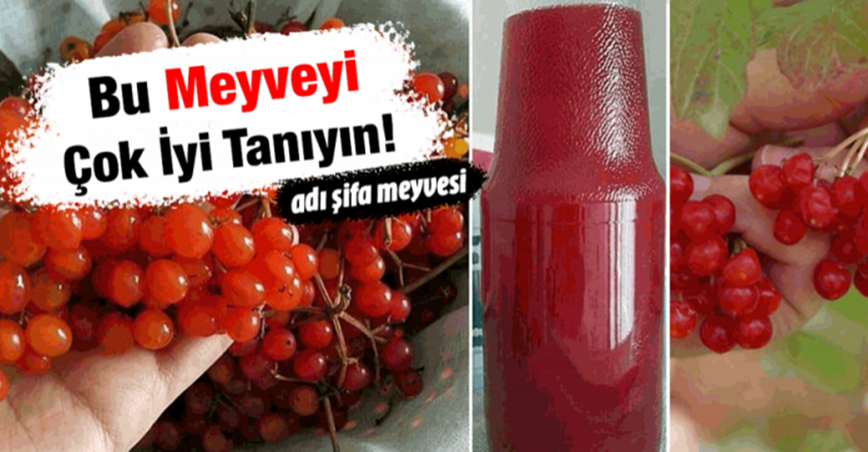 Faydaları bilimsel olarak kanıtlanmış şifa meyvesi