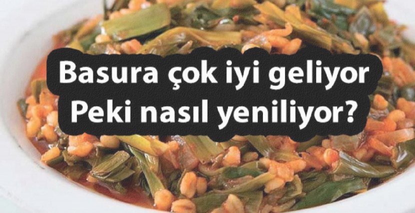 Basura Çok İyi Geliyor, Peki Nasıl Yeniyor?