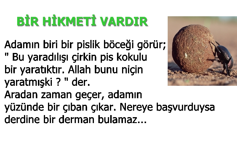 Bir Hikmeti Vardır