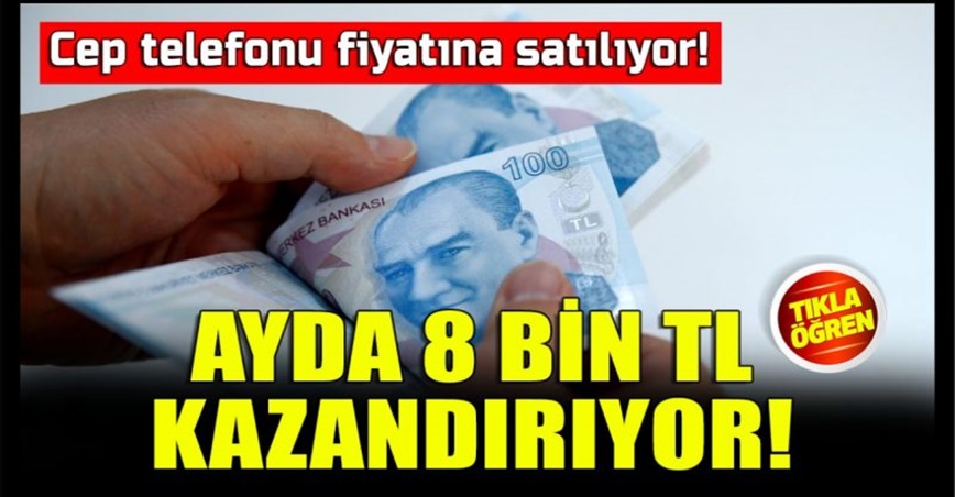 Muhteşem gelir kaynağı ! Telefon fiyatına satılıyor ve Ayda 8 bin TL kazandırıyor