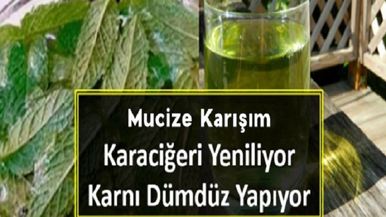 Göbeği Dümdüz Yapın, Karaciğeri Yenileyin