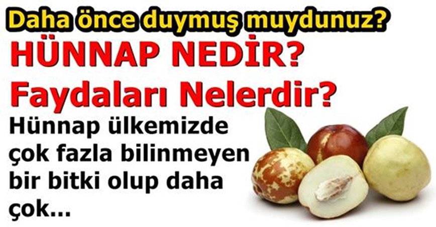 Hünnap meyvesinin faydaları nelerdir?