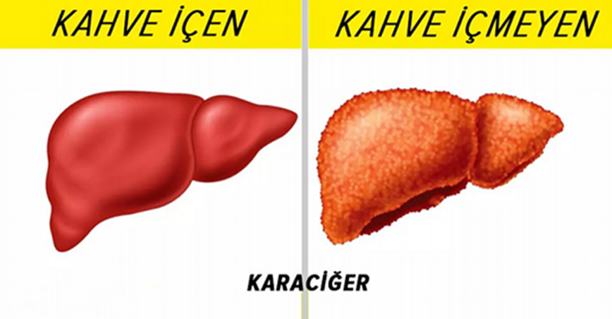 Bilim Adamları Tarafından Kanıtlanmış Kahvenin 9 Faydalı Özelliği