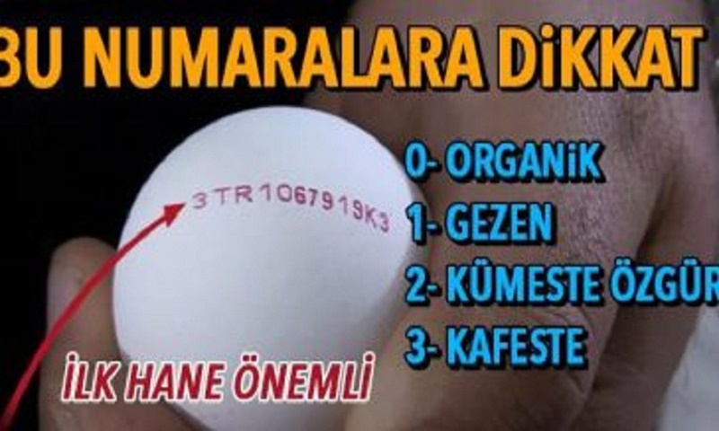 Yumurtanızın Üzerindeki Koddan Hangi İlden Geldiğini Bile Öğrenebileceğinizi Biliyor Muydunuz?