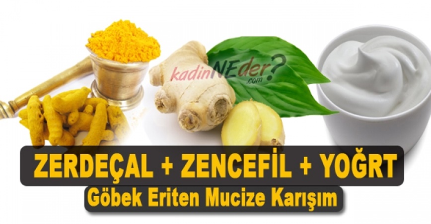 Zencefil Zerdeçal Yoğurt Tarçın İle Zayıflama Diyeti