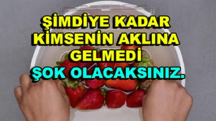 ÇİLEĞİ SİRKELİ SUYA BATIRIN, BAKIN NE OLUYOR