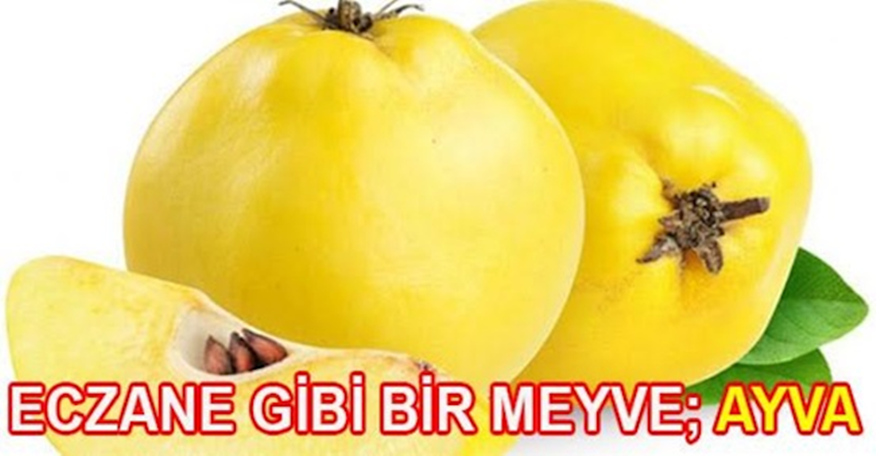 Peygamberimiz Ayva İçin Bakın Ne Diyor