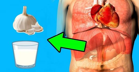 Süt ve Sarımsak Kürü Vücudunuzu Tüm Hastalıklardan Koruyor