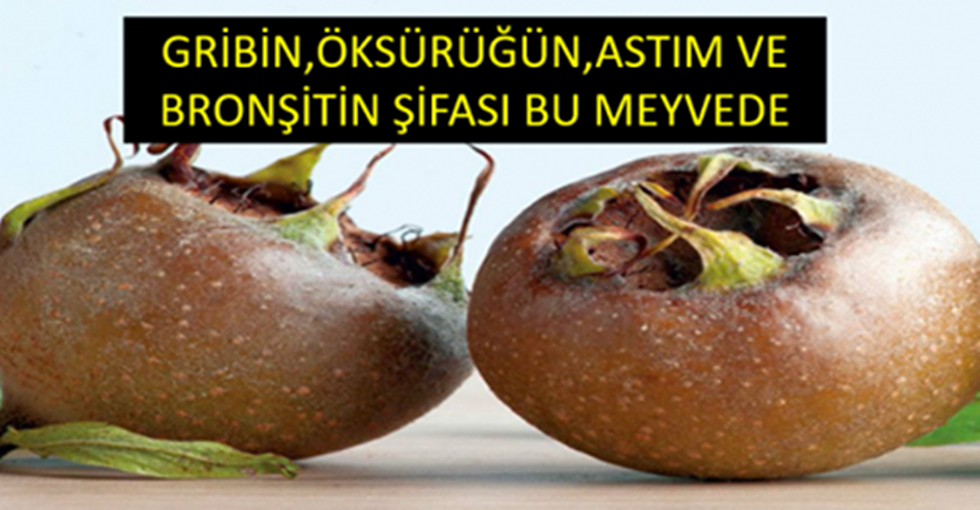 Öksürüğün, Gribin, Bronşitin ve Astımın Doğal Şifası, Tam Mevsimi