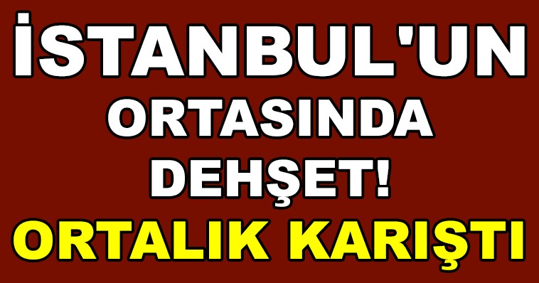 İSTANBUL’UN ORTASINDA DEHŞET! ORTALIK KARIŞTI