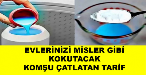 Bu Karışımla Eviniz Bahar Gibi Kokacak