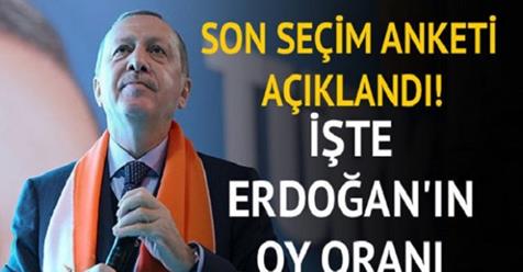 Son Seçim Anketi Açıklandı! İşte Erdoğan'ın Oy Oranı..