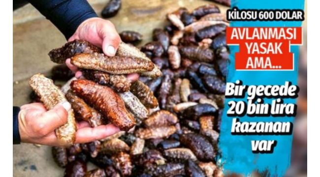 20 bin lira kazanıyorlar