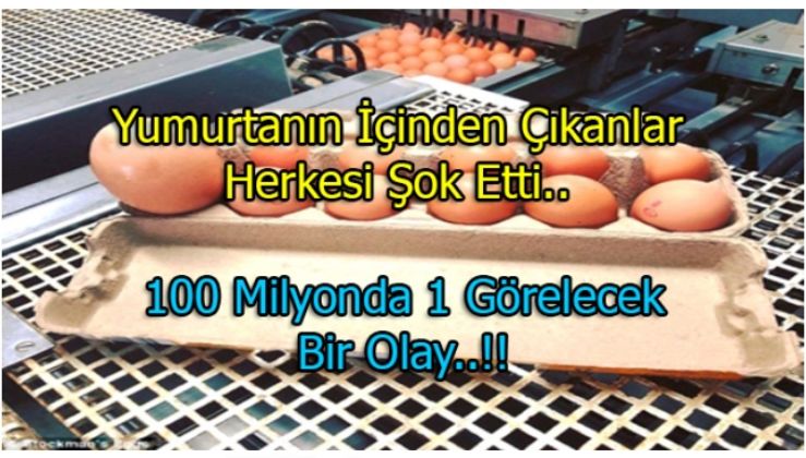 İÇİNDEN ÖYLE BİR ŞEY ÇIKTI Kİ.. GÖRENLER GÖZLERİNE İNANAMADI !