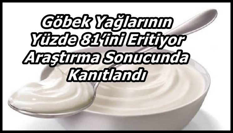 YOĞURT ZENCEFİL ZERDEÇAL TARÇIN KARIŞIMI (ZAYIFLAMA DİYETİ)