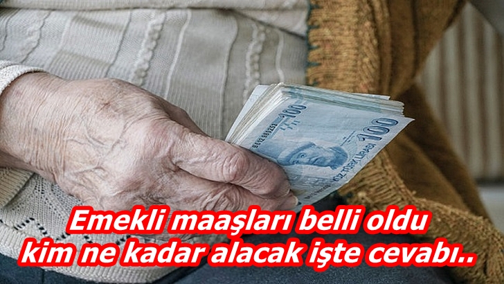 Emekli maaşları belli oldu kim ne kadar alacak işte cevabı