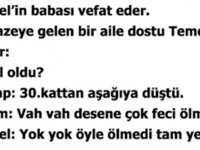 Temel Fıkrası…