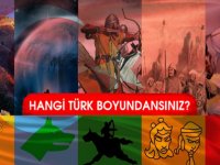 Türklerin soy ağacının il il listesi! Hangi Türk boyundansınız?