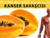 Meleklerin Meyvesi Ka-nser Savaşçısı