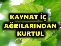 Kireçlenmeye Karşı Doğal Mucize (Sonuçları Çok Başarılı)