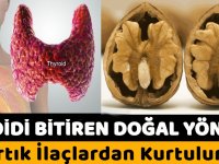 Tiroid Hastalarına İlaçsız Doğal Çözüm