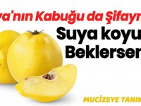 Ayva’nın Kabuğu da şifa. Suya koyup beklerseniz