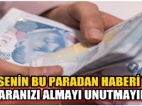 Yüz Binlerce Kişinin Bu Paradan Haberi Yok. Paranızı Almayı Unutmayın