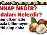 Hünnap meyvesinin faydaları nelerdir?