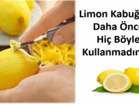 Limonun Birbirinden Farklı Kullanım Alanları