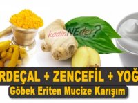 Zencefil Zerdeçal Yoğurt Tarçın İle Zayıflama Diyeti