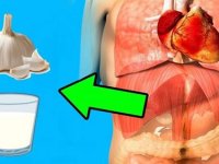 Süt ve Sarımsak Kürü Vücudunuzu Tüm Hastalıklardan Koruyor