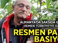 Almanya'da saksıda gördü, Türkiye'ye getirdi! Resmen para basıyor