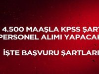 PTT 4.500 lira maaş ile personel alımı yapacak! İşte başvuru şartları