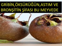 Öksürüğün, Gribin, Bronşitin ve Astımın Doğal Şifası, Tam Mevsimi