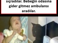 Kedinin sesiyle yataktan sıçradılar. Bebeğin odasına gider gitmez ambulansı aradılar.