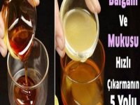Balgam Ve Mukusu Hızlı Çıkarmanın Doğal 5 Yolu
