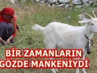 BİR ZAMANLARIN GÖZDE MANKENİ ŞİMDİ BAKIN NE HALDE