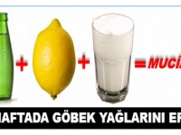 AYRAN – SODA – LİMON – KÜRÜ İLE İKİ HAFTADA GÖBEK YAĞLARINIZI ERİTEBİLİRSİNİZ!