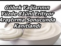 YOĞURT ZENCEFİL ZERDEÇAL TARÇIN KARIŞIMI (ZAYIFLAMA DİYETİ)