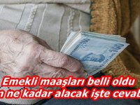 Emekli maaşları belli oldu kim ne kadar alacak işte cevabı