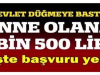 Devletten anne olana 4 bin 500 lira